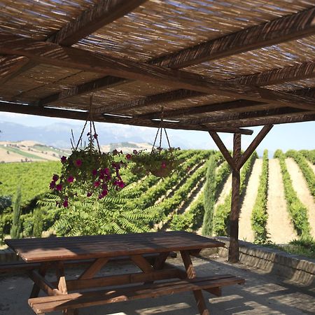 Contado San Lorenzo B&B And Wine Castilenti Exteriör bild