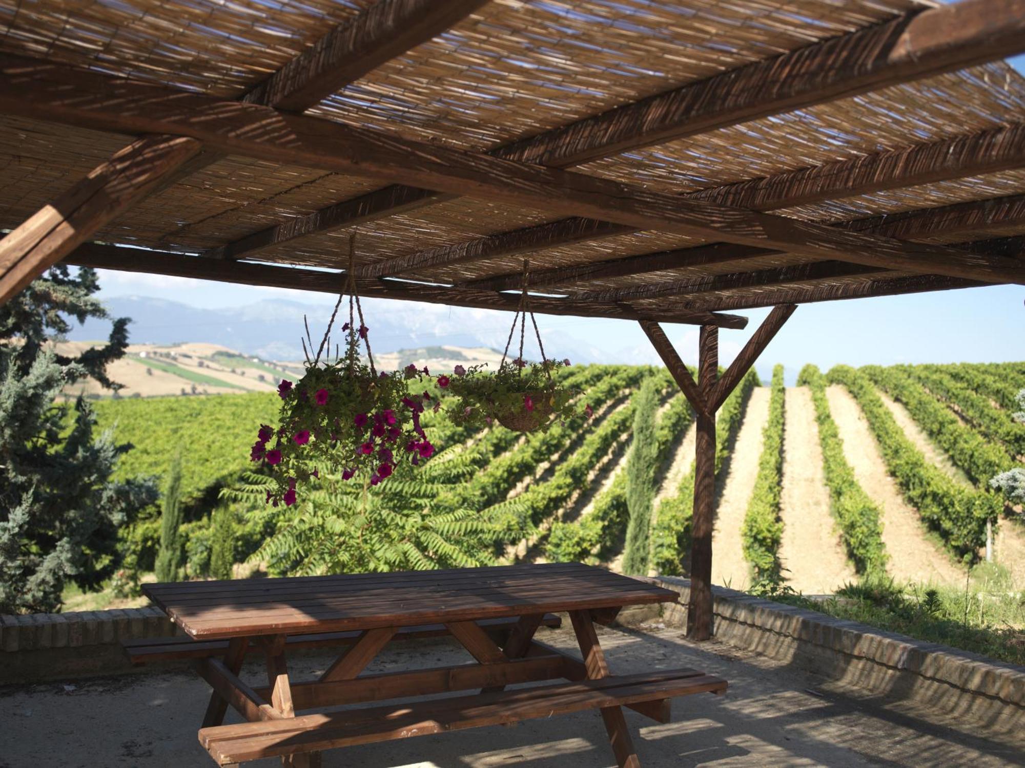 Contado San Lorenzo B&B And Wine Castilenti Exteriör bild