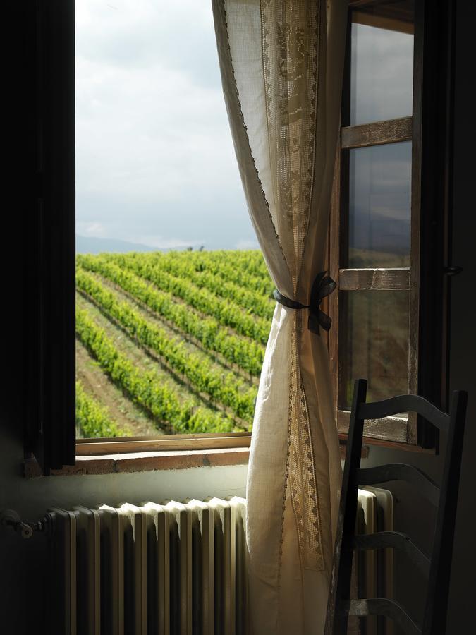 Contado San Lorenzo B&B And Wine Castilenti Exteriör bild